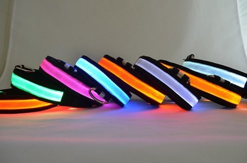 LED Light Up Dog Collar - PetEase