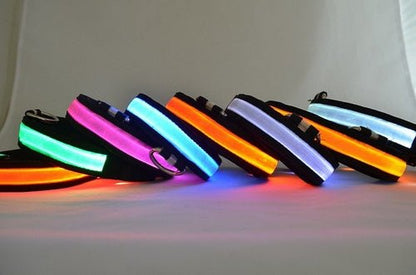 LED Light Up Dog Collar - PetEase