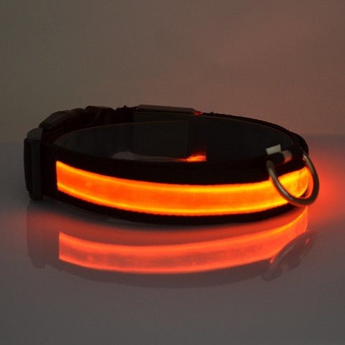 LED Light Up Dog Collar - PetEase
