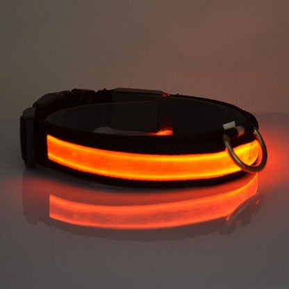 LED Light Up Dog Collar - PetEase
