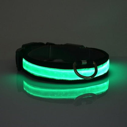 LED Light Up Dog Collar - PetEase