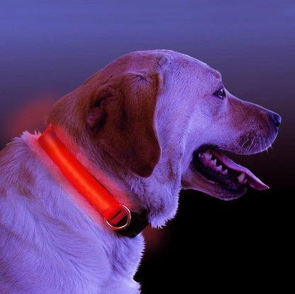 LED Light Up Dog Collar - PetEase
