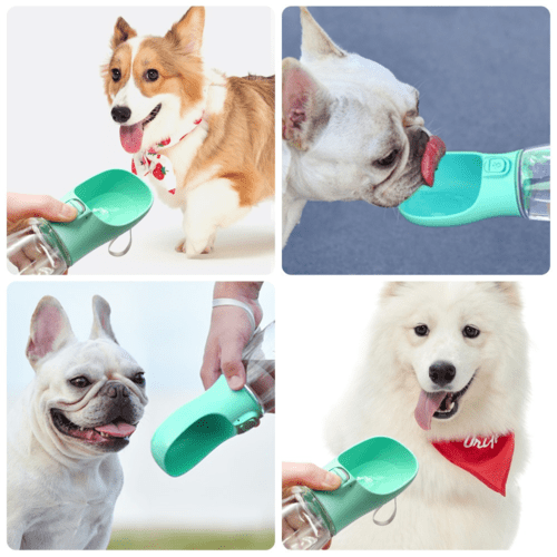 Outdoor Pet Dog Feeder Bowls Cats Dogs Travel Water Dispenser Feeder - PetEase