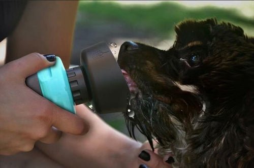 Pet Outdoor Foldable Bottle Dog Travel Water Bottle - PetEase